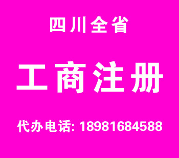 青川公司注册 